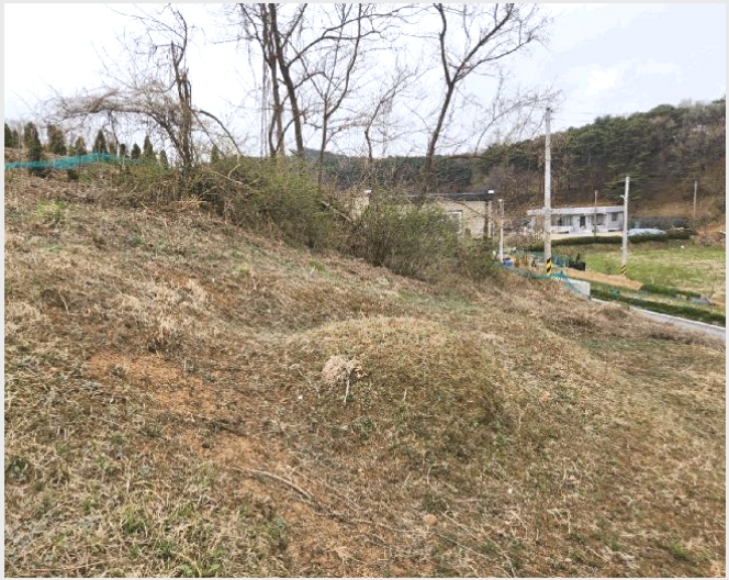 �Ӿ� 8-����� ���� �Ϳ츮-�Ӿ�