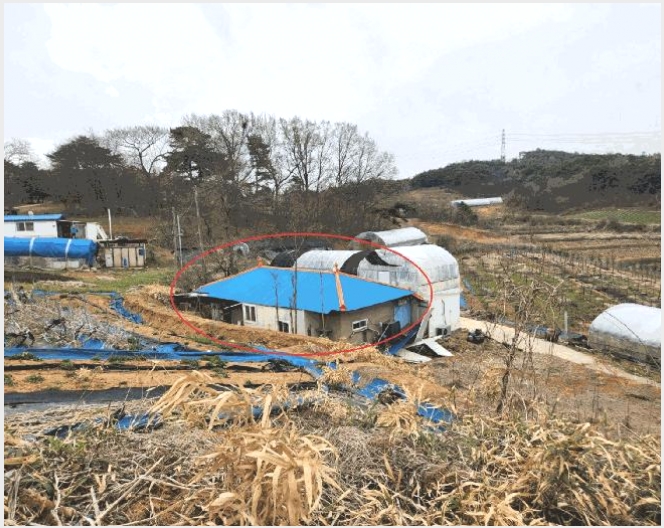 �Ӿ� 10-����� ���� �Ϳ츮-�Ӿ�