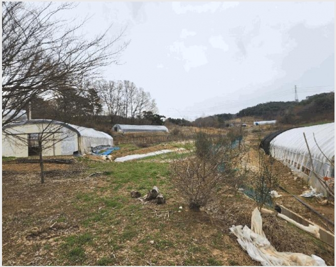 �Ӿ� 7-����� ���� �Ϳ츮-�Ӿ�