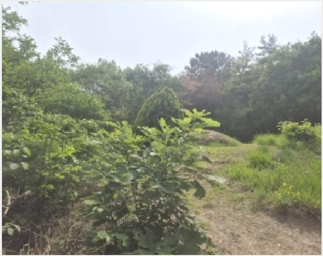�Ӿ� 9-���׽� ���� ������-�Ӿ�