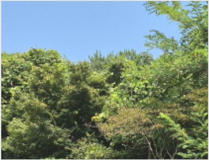 �Ӿ� 6-������ ���ϸ� ���¸�-�Ӿ�
