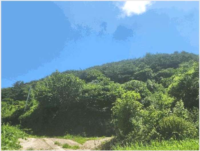 �Ӿ� 9-��õ�� ������ ������-�Ӿ�