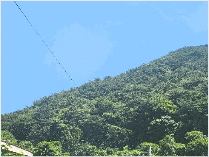 �Ӿ� 7-��õ�� ������ ������-�Ӿ�