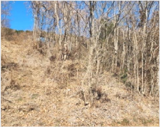 �� 4-������ ������ ������-��