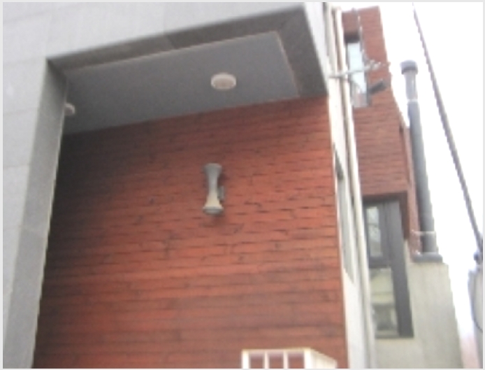 ������ 5-����� ���籸 ���ൿ-������