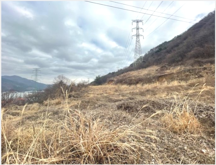 ������� 5-���屺 ������ �޻긮-�������