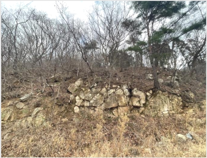 ������� 10-���屺 ������ �޻긮-�������