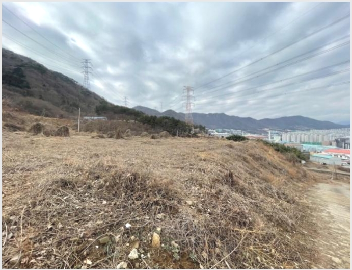 ������� 4-���屺 ������ �޻긮-�������