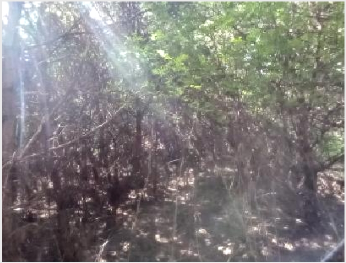 �Ӿ� 4-��õ�� ���߸� �繮��-�Ӿ�