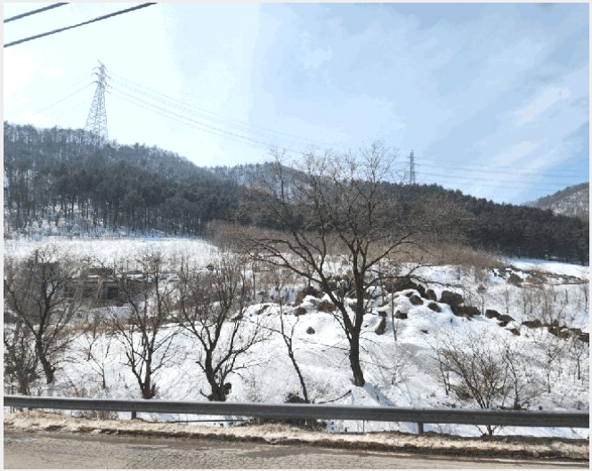 �� 6-������ ������ �ֻ긮-��