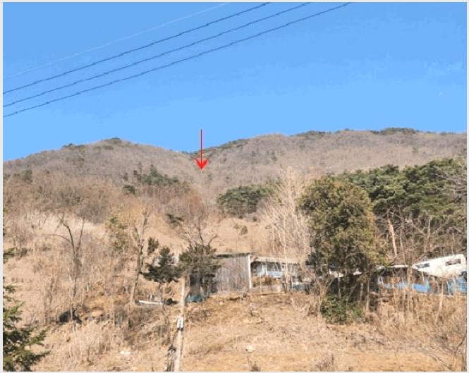 �� 8-������ ������ �ֻ긮-��
