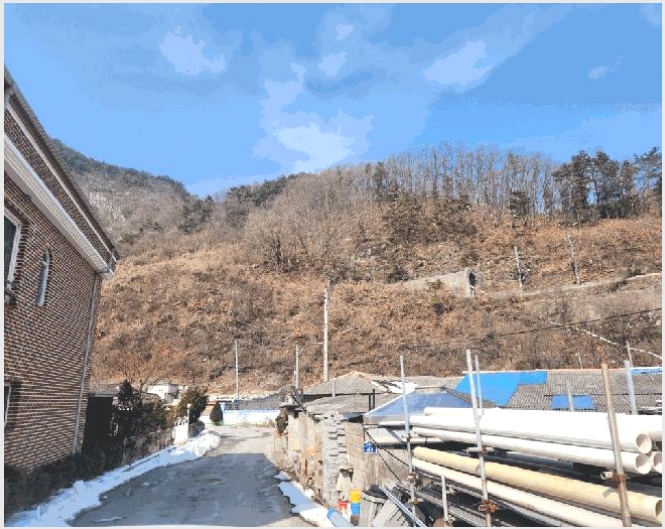 �� 5-������ ������ �ֻ긮-��