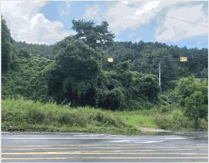 �� 9-������ �л�� ���Ҹ�-��