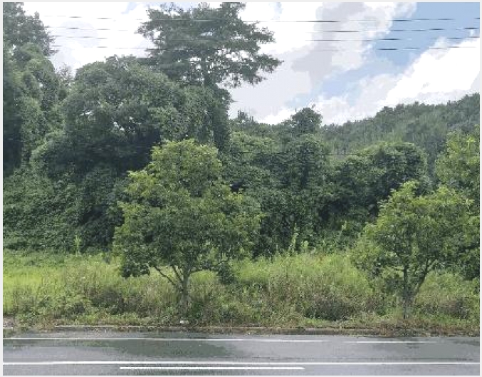 �� 8-������ �л�� ���Ҹ�-��