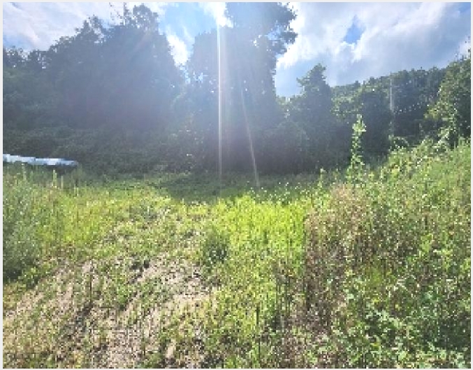 �� 5-������ �л�� ���Ҹ�-��