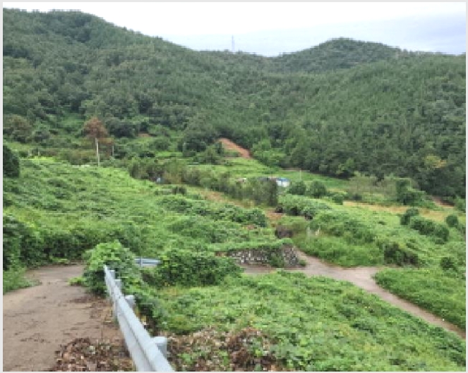 ���� 4-������ ���굿 127-1-����