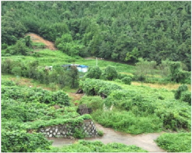 ���� 10-������ ���굿 127-1-����