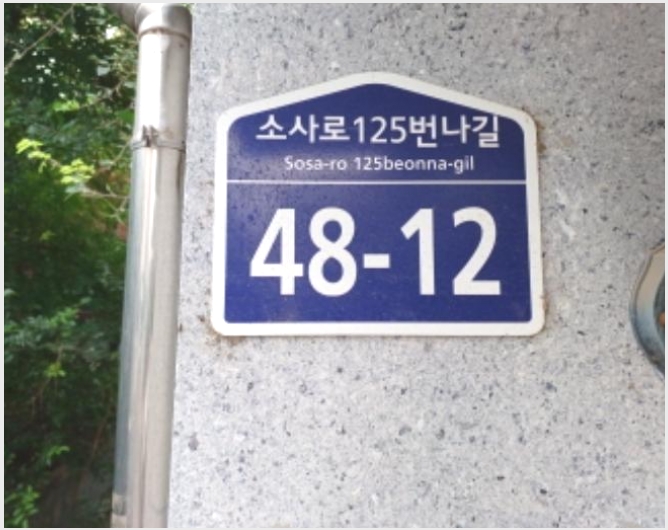 �ټ���(����) 8-��õ�� �һ籸 �һ纻��-�ټ���(����)