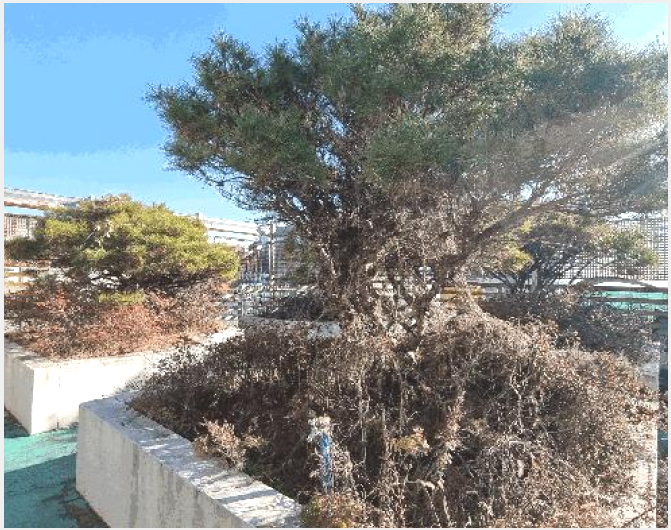 ȣ��/���� 9-���ؽ� ��浿 530-7-ȣ��/����