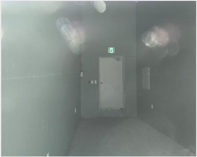 �ٸ��� 8-���ֽ� ���µ� 2073-�ٸ���