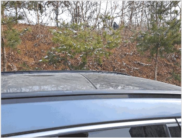 ���� 10-�ݸ��� 277 ����������-����