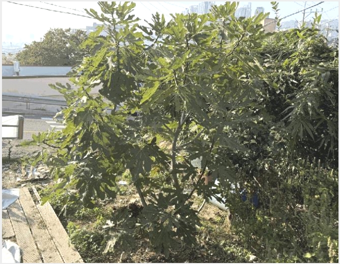 �� 6-���ؽ� ������ 413-��