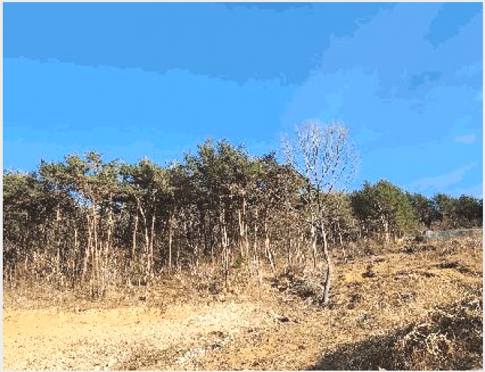 �Ӿ� 10-������ ���� �̷渮-�Ӿ�