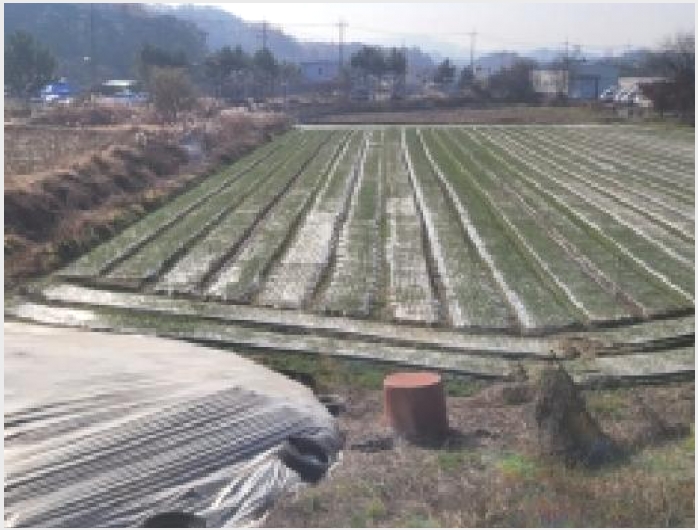�� 8-�Ծȱ� ĥ���� �뼺��-��