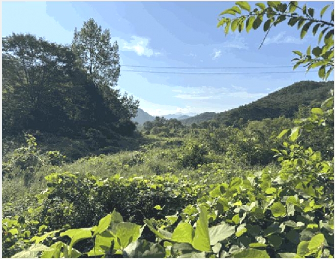 �Ӿ� 7-��â�� ������ ���긮-�Ӿ�