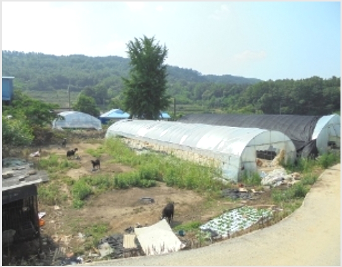 ���� 5-����� �뼺�� ��Ƽ��-����