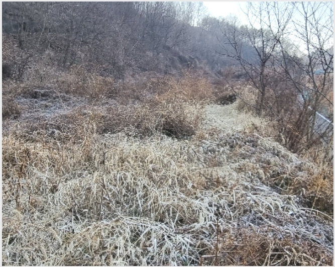 ������ 5-��õ�� ����� ���ϸ�-������
