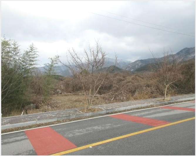 �� 8-���ʱ� �굿�� �»縮-��