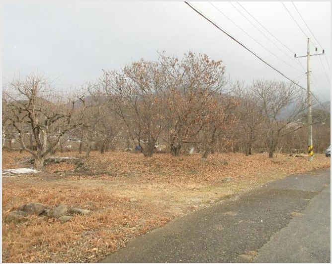 �� 10-���ʱ� �굿�� �»縮-��