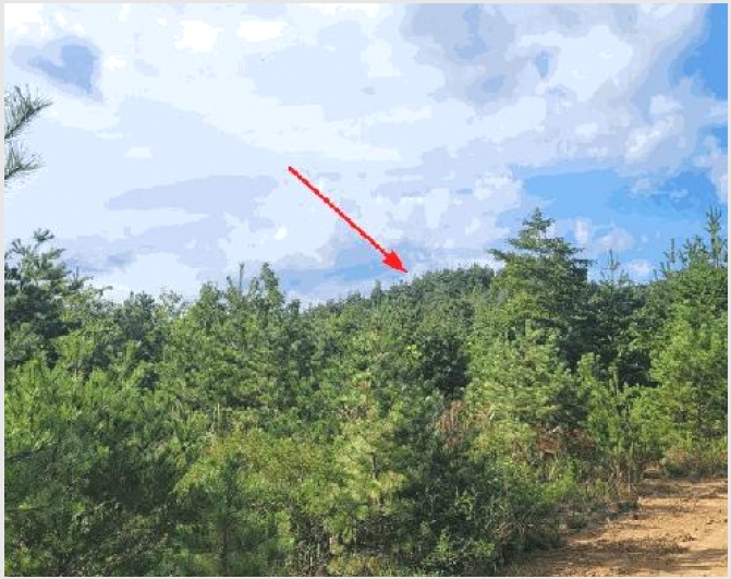 �Ӿ� 8-������ �׿ո� ���̸�-�Ӿ�