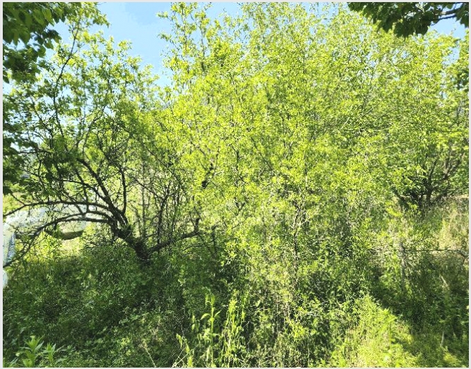 �� 4-â�籺 ����� ������-��