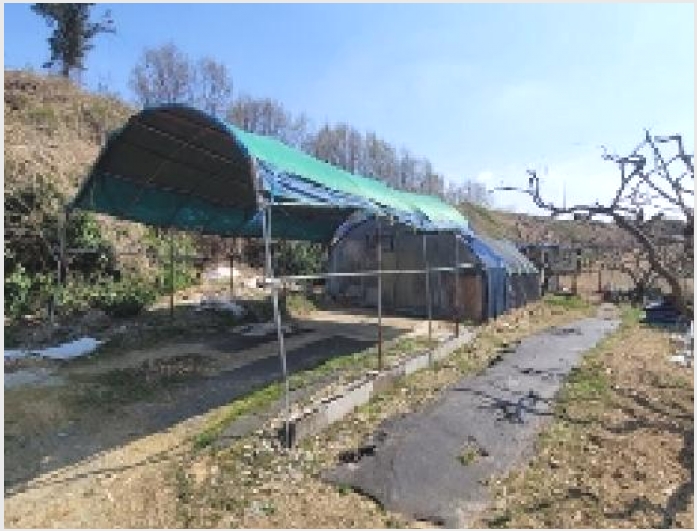 ���� 10-�Ծȱ� ĥ���� �뼺��-����