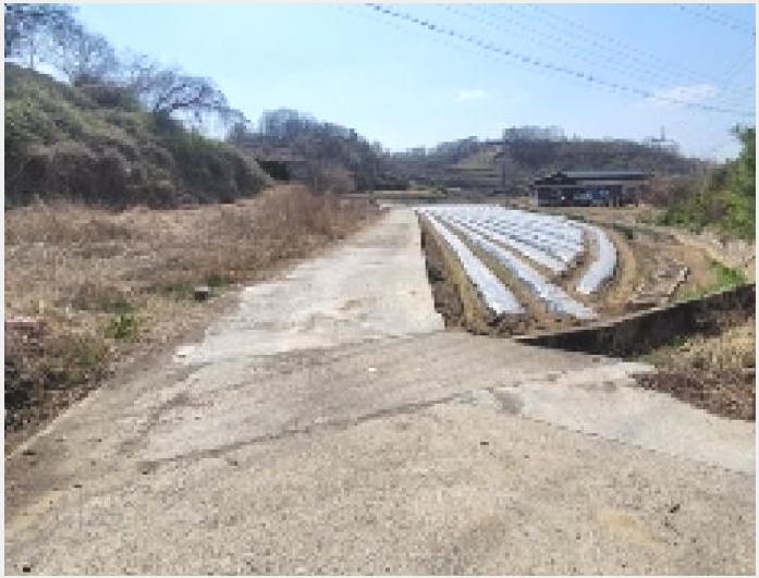���� 4-�Ծȱ� ĥ���� �뼺��-����