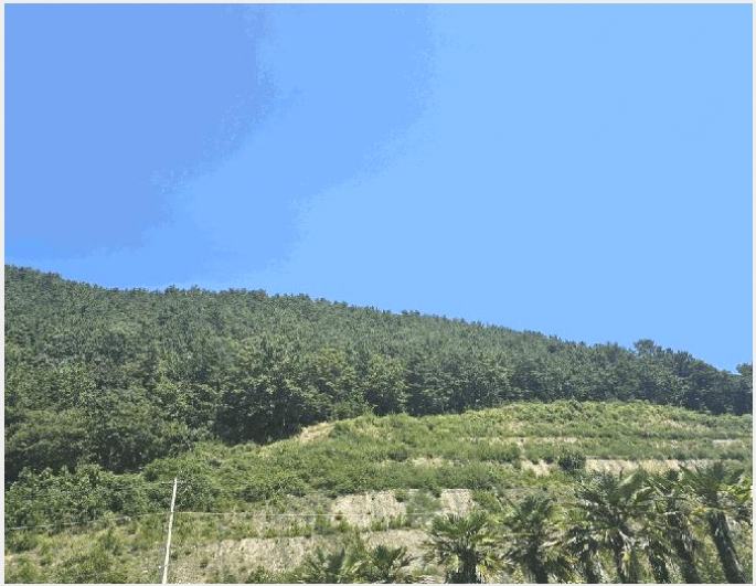 �Ӿ� 8-������ ȭ���� ���߸�-�Ӿ�