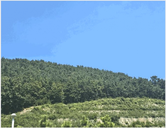 �Ӿ� 6-������ ȭ���� ���߸�-�Ӿ�