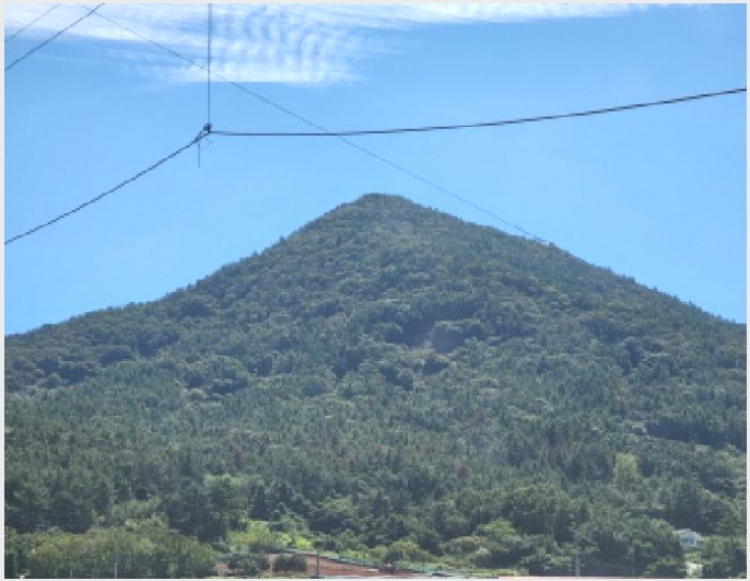 �Ӿ� 5-������ ������ ��縮-�Ӿ�