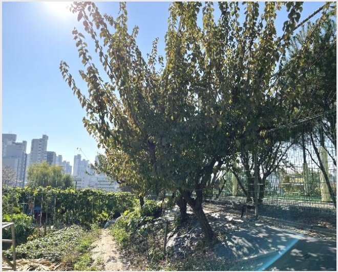 �� 5-���ı� ��õ�� 68-11-��