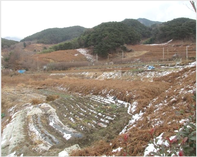 �� 10-���ʱ� �굿�� �»縮-��