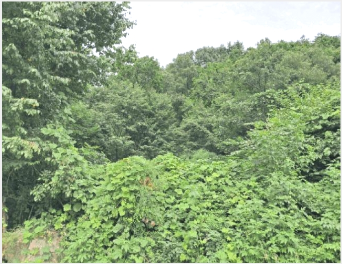 �Ӿ� 6-��õ�� ������ �ø�-�Ӿ�