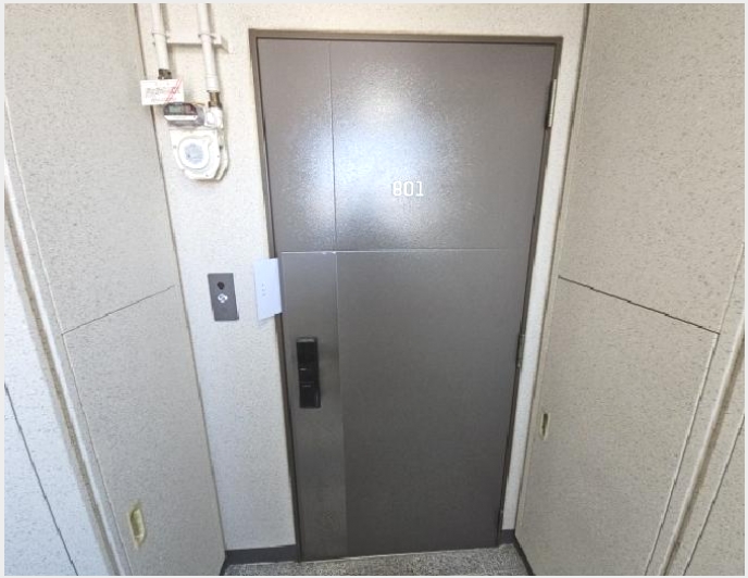 ����Ʈ 9-��籸 ��� 230-����Ʈ