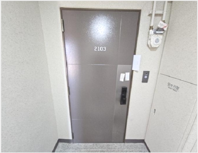 ����Ʈ 5-��籸 ��� 230-����Ʈ