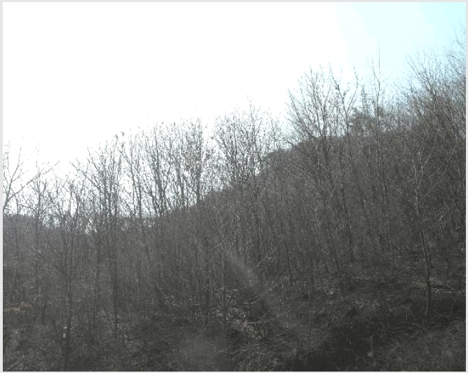 �Ӿ� 7-����� ����� �ѻ�õ��-�Ӿ�