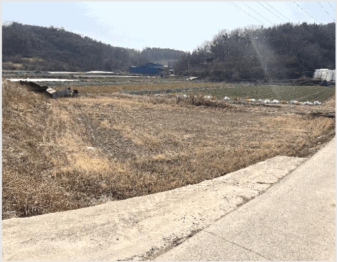 �� 9-â�籺 �̹�� �ų���-��