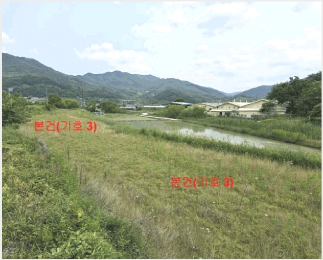 �� 10-�Ծ籺 ������ ��鸮-��