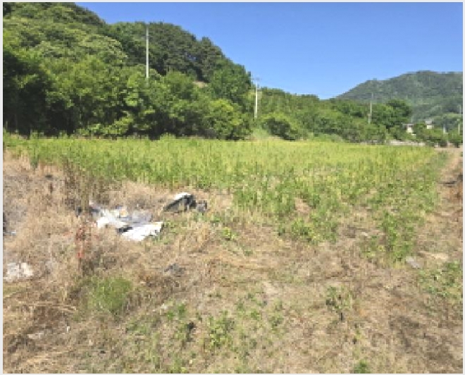 �� 5-�Ծ籺 ������ ��鸮-��