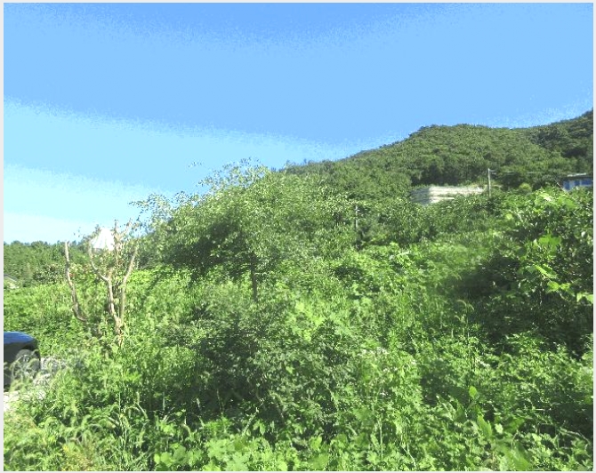 �� 6-������ ������ ��縮-��